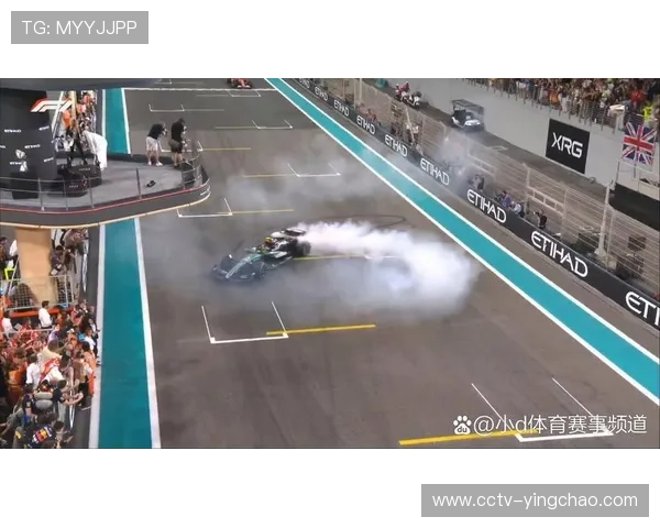 梅赛德斯车队年度排名第二，汉密尔顿离队后前景引关注