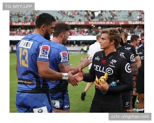 柏林联合球迷庆祝爆冷击败勒沃库森的球场盛况